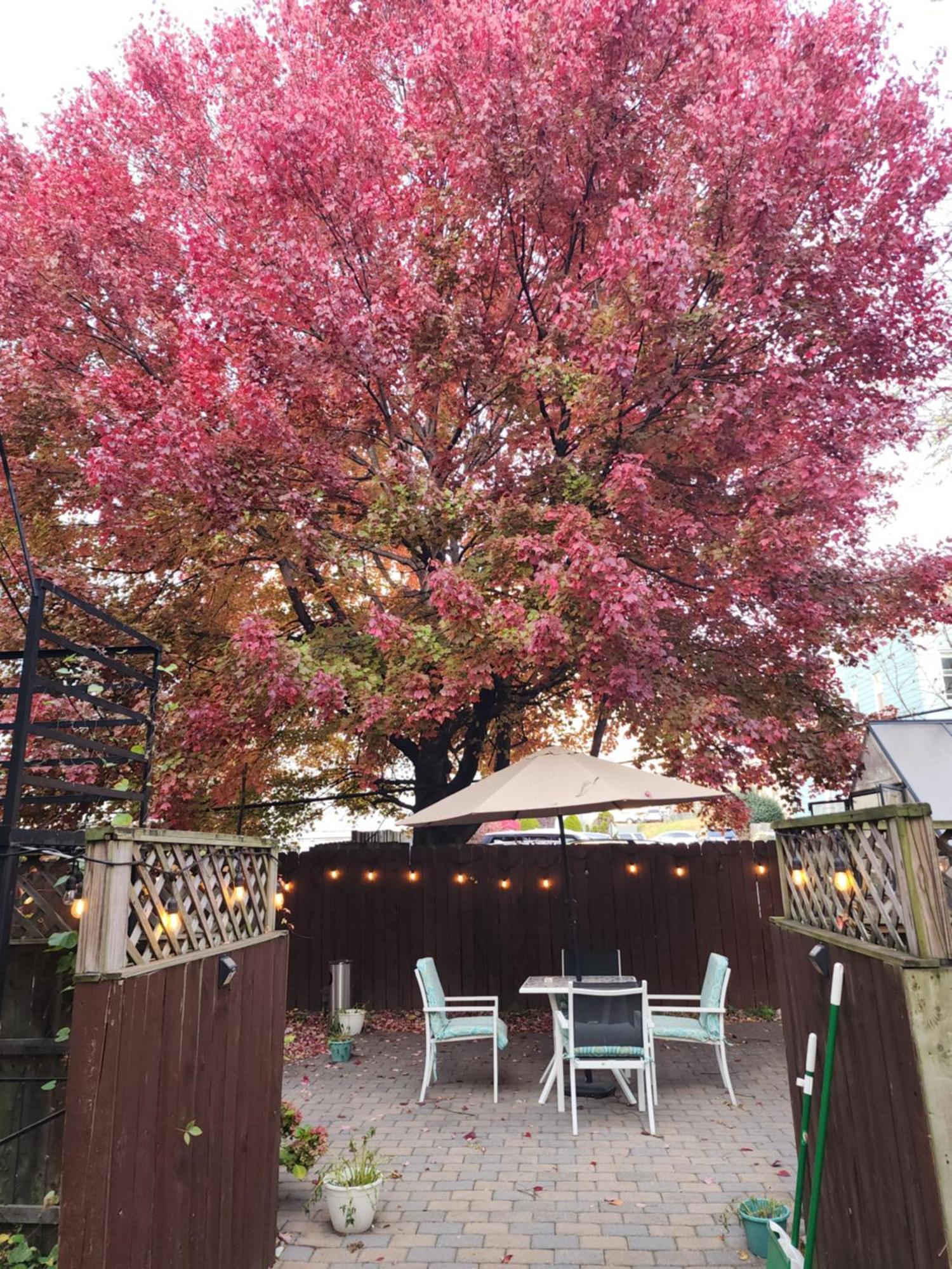 Magnolia Stay Near New York City ジャージーシティ エクステリア 写真