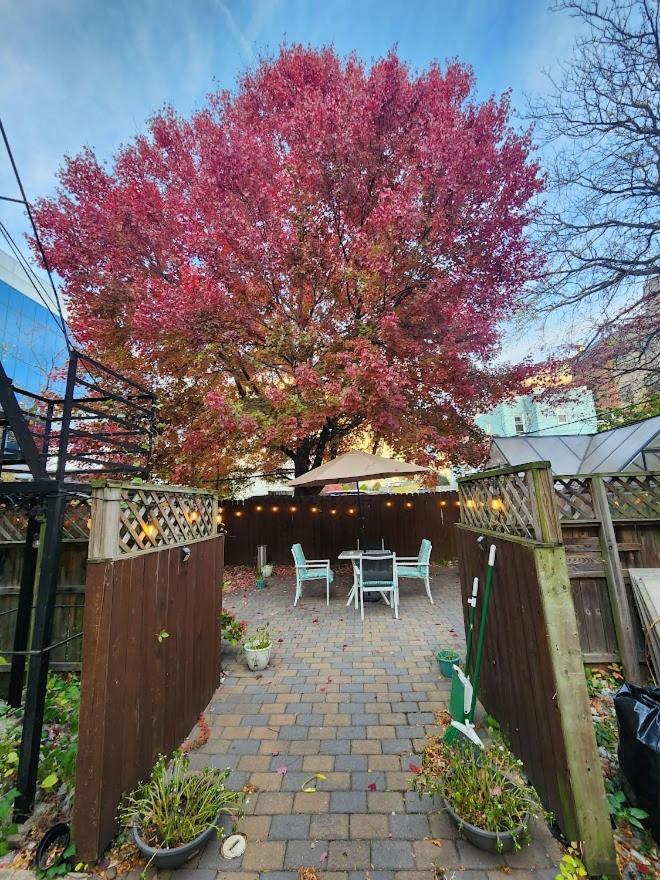 Magnolia Stay Near New York City ジャージーシティ エクステリア 写真