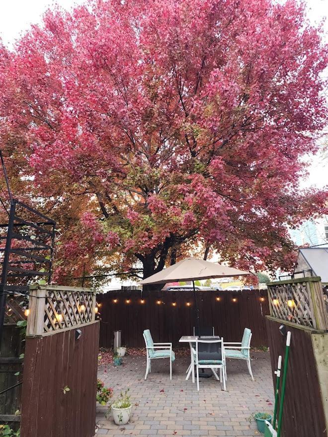 Magnolia Stay Near New York City ジャージーシティ エクステリア 写真